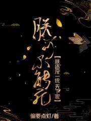 朕不可朕不能