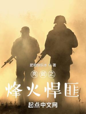 亮剑之风云再起
