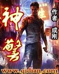 神警奇偷高清在线观看完整版