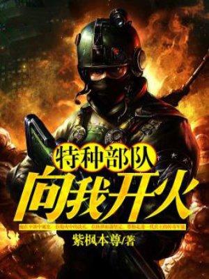 我是特种兵向我开火