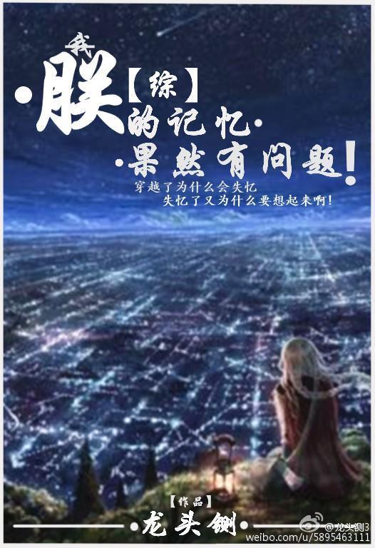 综朕的记忆果然有问题完结