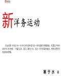 新洋务运动笔趣阁