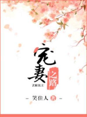陆王爷的宠妻之路