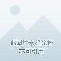从末日重生的