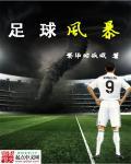 足球风暴观后感