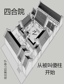 四合院之从被叫傻柱开始的