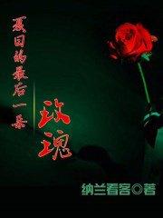 夏日最后一朵玫瑰中文歌词