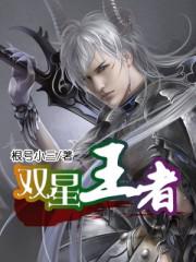 王者双子星什么意思