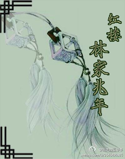 红楼林家宗妇