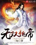 无双魏蜀吴阵容攻略