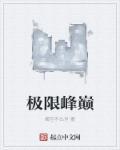 极限巅峰价格