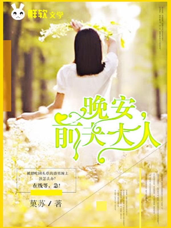 早安前夫大人免费阅读