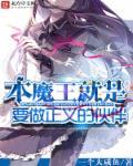 本魔王就是要做正义的伙伴上本书