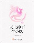 天上掉下个小妖精免费阅读