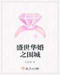 电视剧盛世华衣