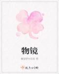 物镜10/0.25是什么意思