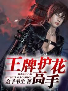 王牌女护卫