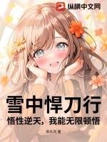雪中悍刀行的功法
