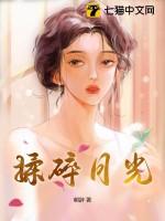 揉碎的星光啥意思