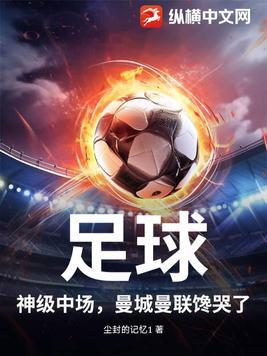 曼城踢哪个联赛