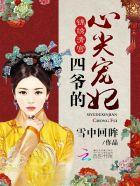 四爷的心尖宠妃第几章登基