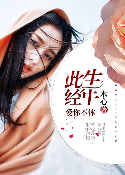 此去经年爱你未止沐若止