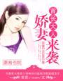 暖妻txt