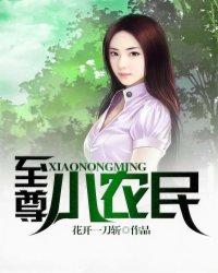 至尊的小农民