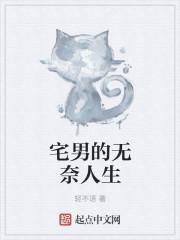 宅男的宅子
