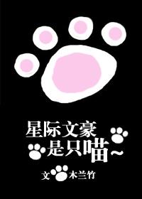 文豪abo