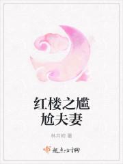 红楼之尴尬夫妇键盘