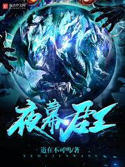 夜幕风云免费阅读