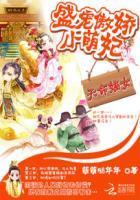 html放置视频