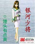 银河司令宁雪艳