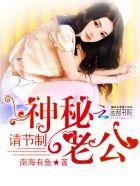 神秘老公stop全文免费