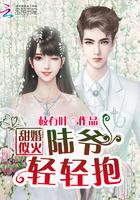 甜婚密令陆少