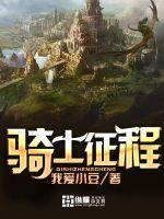 骑士征程多少字