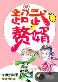 超武女婿顶点