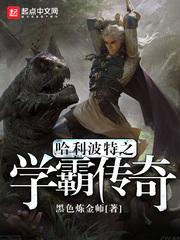 哈利波特学霸传奇起点