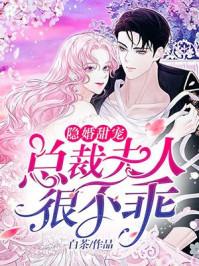 隐婚总裁 甜妻不好惹
