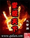 掌控为侞全本免费阅读目录