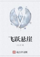 悬崖飞人