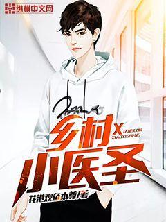 乡村小医圣全集免费观看