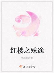 红楼之殊途评论