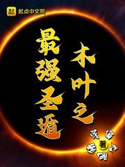 木叶之最强圣遁免费阅读