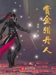 赏金猎人玩法攻略