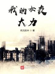 我的女友是诸葛大力林凡