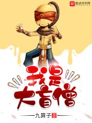 盲僧大招说的是什么