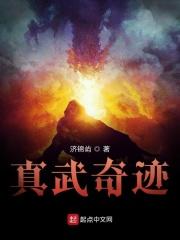 真武v13