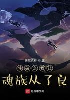 穿越斗破成为魂族的人收女